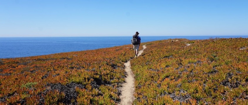 Am Fischerweg, Rota Vicentina, Portugal